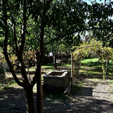 Casa Dona Amélia Villa Idanha-a-Nova Kültér fotó