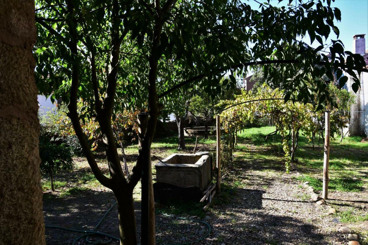 Casa Dona Amélia Villa Idanha-a-Nova Kültér fotó